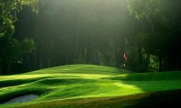 pasha course course